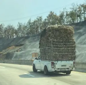 Garlic truck down on its springs